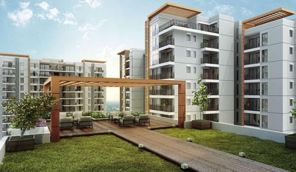 Real Estate Market Rates and Trends in Whitefield