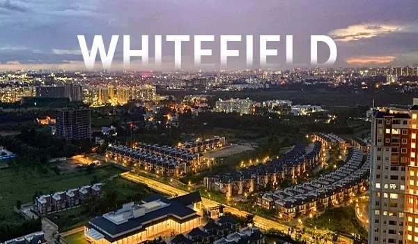 About Whitefield