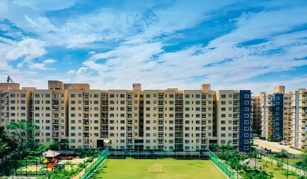 Featured Image of Brigade Meadows