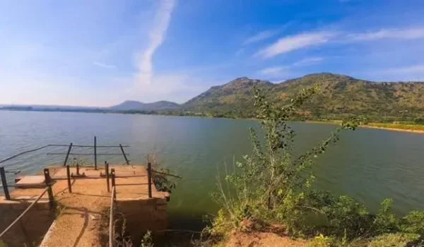 Featured Image of Gunjur Lake Park