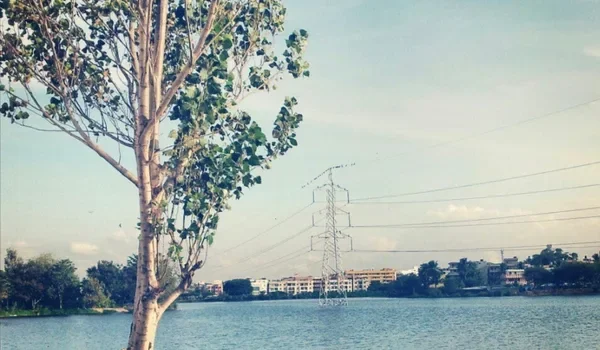 Featured Image of Kundalahalli Lake Park