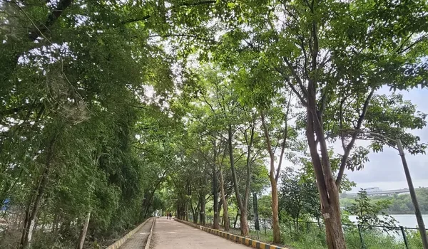 Featured Image of Varthur Lake Walking Track
